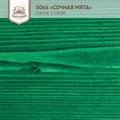 «Сочная мята» Колер для масла и воска - фото 4534